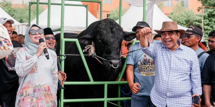 Muzani Hadiri Kontes Sapi APPSI, Singgung Program Makan Siang Gratis Prabowo-Gibran